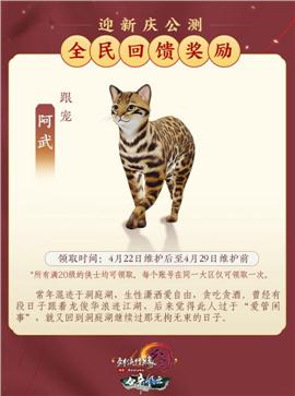 带bb天龙八部私服